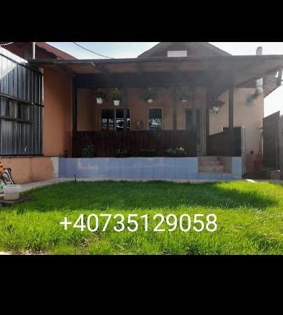 Central City House Tulcea Eksteriør billede