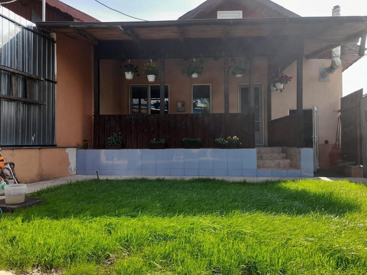 Central City House Tulcea Eksteriør billede