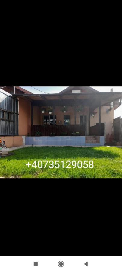Central City House Tulcea Eksteriør billede